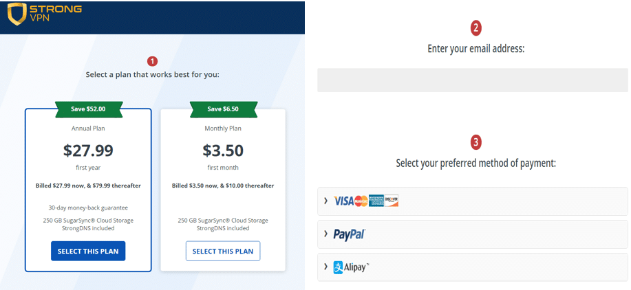 strong vpn price 加上支援支付保付款