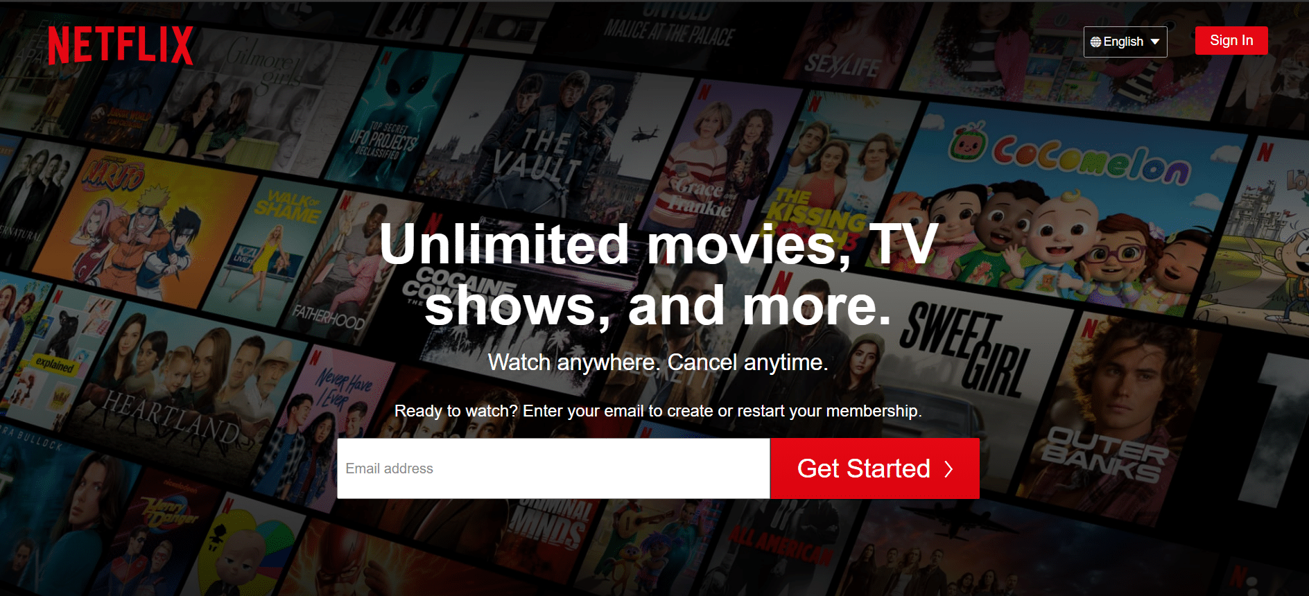 netflix feature picture